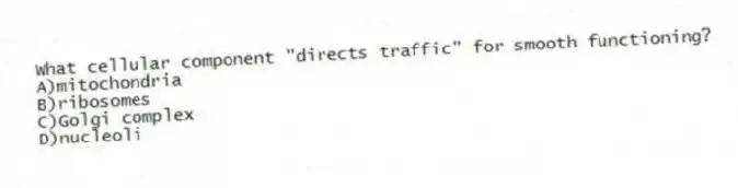 What cellular component "directs traffic" for smooth functioning?
A)mitochondria
B)ribosomes
C)Golgi complex
D)nucleoli