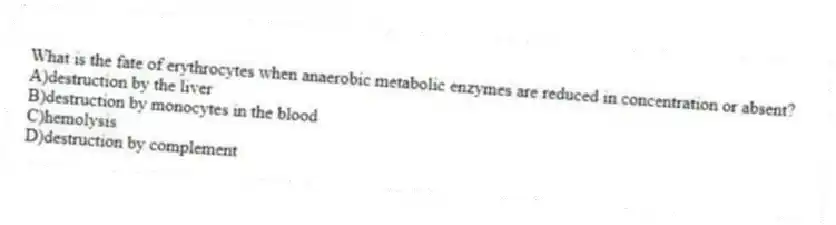 What is the fate of erythrocytes when anaerobic metabolic enzymes are reduced in concentration or absent?
A)destruction by the liver
B)destruction by monocytes in the blood
C)hemolysis
D)destruction by complement