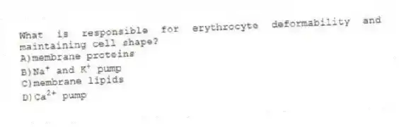 What is responsible for erythrocyte deformability and maintaining cell shape?
A)membrane proteins
B)Na<sup>+</sup> and K<sup>+</sup> pump
C)membrane lipids
D)Ca<sup>2+</sup> pump
