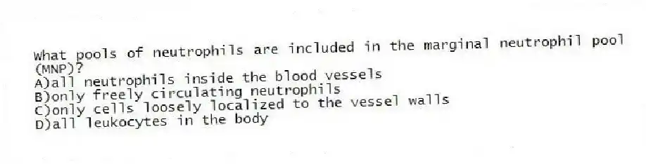 What pools of neutrophils are included in the marginal neutrophil pool (MNP)?
A)all neutrophils inside the blood vessels
B)only freely circulating neutrophils
C)only cells loosely localized to the vessel walls
D)all leukocytes in the body