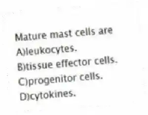 Mature mast cells are
A)leukocytes.
B)tissue effector cells.
C)progenitor cells.
D)cytokines.