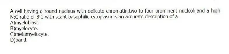 A cell having a round nucleus with delicate chromatin,two to four prominent nucleoli,and a high N:C ratio of 8:1 with scant basophilic cytoplasm is an accurate description of a
A)myeloblast.
B)myelocyte.
C)metamyelocyte.
D)band.