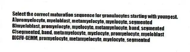 Select the correct maturation sequence for granulocytes starting with youngest.
A)promyelocyte, myeloblast, metamyelocyte, myelocyte, segmented
B)myeloblast, promyelocyte, myelocyte, metamyelocyte, band, segmented
C)segmented, band, metamyelocyte, myelocyte, promyelocyte, myeloblast
D)CFU-GEMM, promyelocyte, metamyelocyte, myelocyte, segmented
