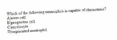 Which of the following neutrophils is capable of chemotaxis?
A)stem cell
B)progenitor cell
C)myelocyte
D)segmented neutrophil