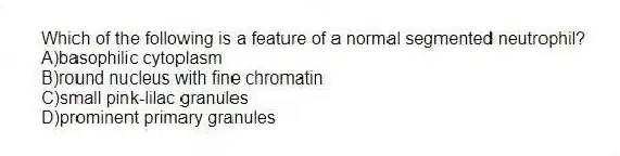 Which of the following is a feature of a normal segmented neutrophil?
A)basophilic cytoplasm
B)round nucleus with fine chromatin
C)small pink-lilac granules
D)prominent primary granules