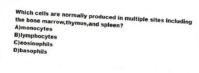 Which cells are normally produced in multiple sites including the bone marrow,thymus,and spleen?
A)monocytes
B)lymphocytes
C)eosinophils
D)basophils