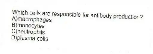 Which cells are responsible for antibody production?
A)macrophages
B)monocytes
C)neutrophils
D)plasma cells