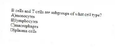 B cells and T cells are subgroups of what cell type?
A)monocytes
B)lymphocytes
C)macrophages
D)plasma cells