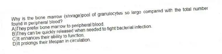 Why is the bone marrow (storage)pool of granulocytes so large compared with the total number found in peripheral blood?
A)They prefer bone marrow to peripheral blood.
B)They can be quickly released when needed to fight bacterial infection.
C)It enhances their ability to function.
D)It prolongs their lifespan in circulation.
