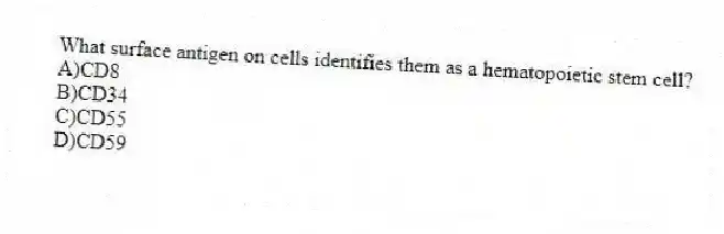 What surface antigen on cells identifies them as a hematopoietic stem cell?
A)CD8
B)CD34
C)CD55
D)CD59