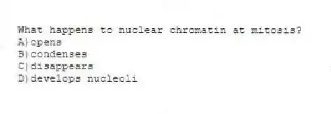 What happens to nuclear chromatin at mitosis?
A)opens
B)condenses
C)disappears
D)develops nucleoli