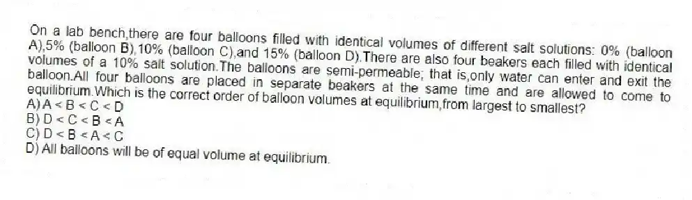 On a lab bench,there are four balloons filled with identical volumes of different salt solutions: 0% (balloon A),5% (balloon B),10% (balloon C),and 15% (balloon D).There are also four beakers each filled with identical volumes of a 10% salt solution.The balloons are semi-permeable; that is,only water can enter and exit the balloon.All four balloons are placed in separate beakers at the same time and are allowed to come to equilibrium.Which is the correct order of balloon volumes at equilibrium,from largest to smallest?
A) A < B < C < D
B) D < C < B < A
C) D < B < A < C
D) All balloons will be of equal volume at equilibrium.