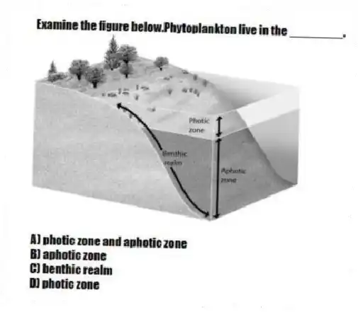 Examine the figure below.Phytoplankton live in the ________.
A) photic zone and aphotic zone
B) aphotic zone
C) benthic realm
D) photic zone