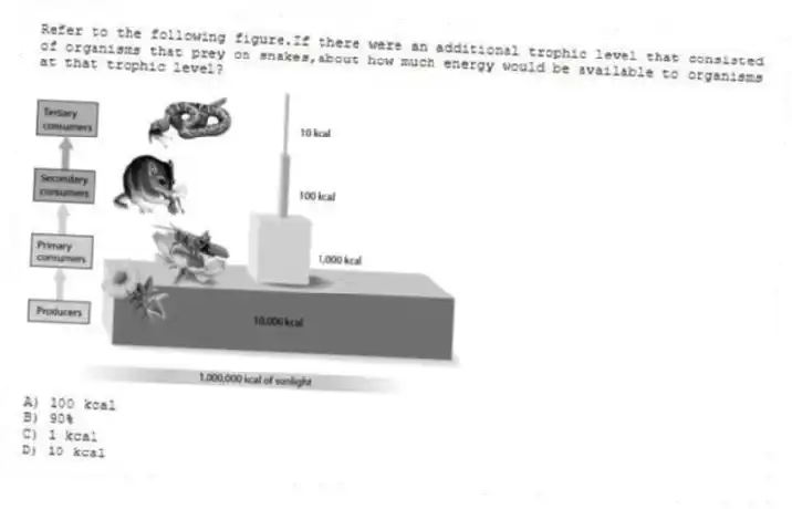 Refer to the following figure.If there were an additional trophic level that consisted of organisms that prey on snakes,about how much energy would be available to organisms at that trophic level?
A) 100 kcal
B) 90%
C) 1 kcal
D) 10 kcal