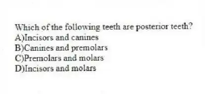 Which of the following teeth are posterior teeth?
A)Incisors and canines
B)Canines and premolars
C)Premolars and molars
D)Incisors and molars