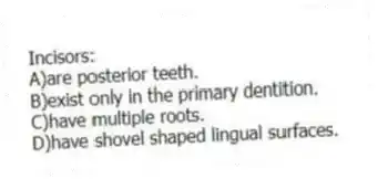 Incisors:
A)are posterior teeth.
B)exist only in the primary dentition.
C)have multiple roots.
D)have shovel shaped lingual surfaces.