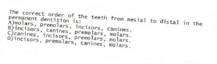 The correct order of the teeth from mesial to distal in the permanent dentition is:
A)molars, premolars, incisors, canines.
B)incisors, canines, premolars, molars.
C)canines, incisors, premolars, molars.
D)incisors, premolars, canines, molars.