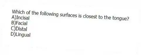 Which of the following surfaces is closest to the tongue?
A)Incisal
B)Facial
C)Distal
D)Lingual