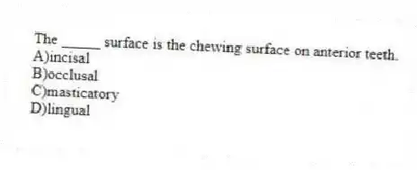 The _____ surface is the chewing surface on anterior teeth.
A)incisal
B)occlusal
C)masticatory
D)lingual