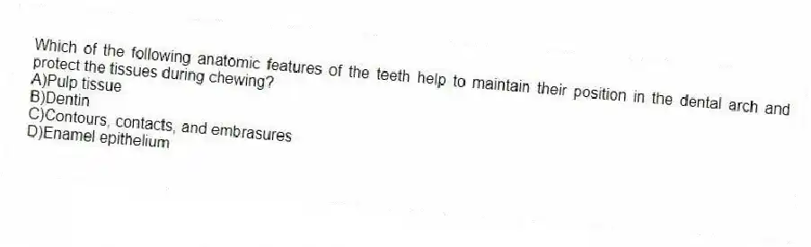 Which of the following anatomic features of the teeth help to maintain their position in the dental arch and protect the tissues during chewing?
A)Pulp tissue
B)Dentin
C)Contours, contacts, and embrasures
D)Enamel epithelium