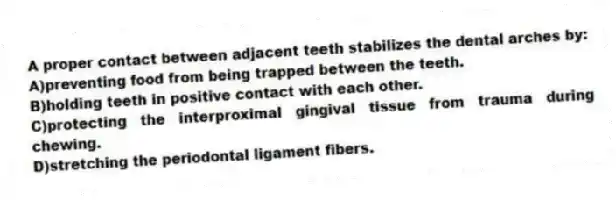 A proper contact between adjacent teeth stabilizes the dental arches by:
A)preventing food from being trapped between the teeth.
B)holding teeth in positive contact with each other.
C)protecting the interproximal gingival tissue from trauma during chewing.
D)stretching the periodontal ligament fibers.