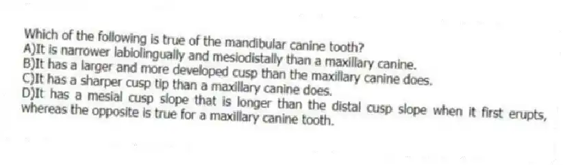 Which of the following is true of the mandibular canine tooth?
A)It is narrower labiolingually and mesiodistally than a maxillary canine.
B)It has a larger and more developed cusp than the maxillary canine does.
C)It has a sharper cusp tip than a maxillary canine does.
D)It has a mesial cusp slope that is longer than the distal cusp slope when it first erupts, whereas the opposite is true for a maxillary canine tooth.