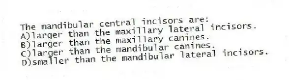 The mandibular central incisors are:
A)larger than the maxillary lateral incisors.
B)larger than the maxillary canines.
C)larger than the mandibular canines.
D)smaller than the mandibular lateral incisors.