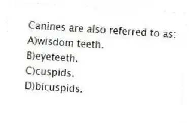 Canines are also referred to as:
A)wisdom teeth.
B)eyeteeth.
C)cuspids.
D)bicuspids.