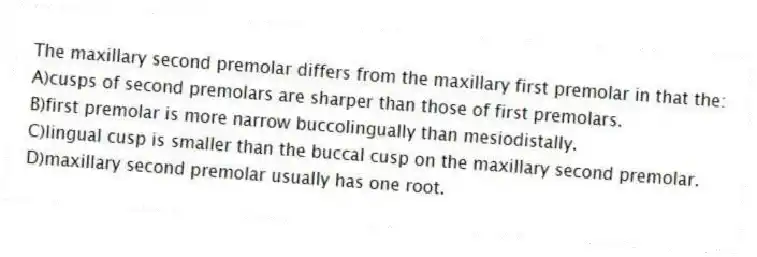 The maxillary second premolar differs from the maxillary first premolar in that the:
A)cusps of second premolars are sharper than those of first premolars.
B)first premolar is more narrow buccolingually than mesiodistally.
C)lingual cusp is smaller than the buccal cusp on the maxillary second premolar.
D)maxillary second premolar usually has one root.