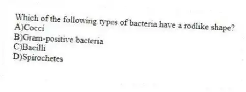 Which of the following types of bacteria have a rodlike shape?
A)Cocci
B)Gram-positive bacteria
C)Bacilli
D)Spirochetes