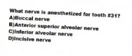 What nerve is anesthetized for tooth #31?
A)Buccal nerve
B)Anterior superior alveolar nerve
C)Inferior alveolar nerve
D)Incisive nerve