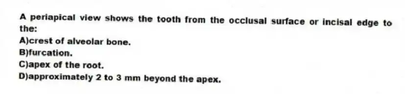 A periapical view shows the tooth from the occlusal surface or incisal edge to the:
A)crest of alveolar bone.
B)furcation.
C)apex of the root.
D)approximately 2 to 3 mm beyond the apex.