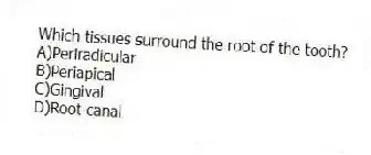 Which tissues surround the root of the tooth?
A)Periradicular
B)Periapical
C)Gingival
D)Root canal