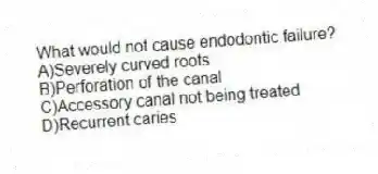What would not cause endodontic failure?
A)Severely curved roots
B)Perforation of the canal
C)Accessory canal not being treated
D)Recurrent caries
