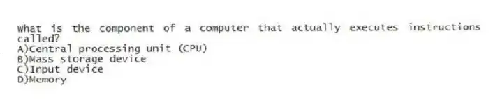 What is the component of a computer that actually executes instructions called?
A)Central processing unit (CPU)
B)Mass storage device
C)Input device
D)Memory