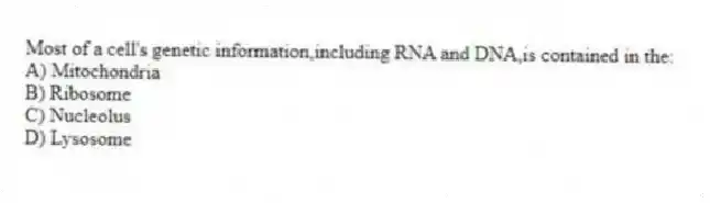Most of a cell's genetic information,including RNA and DNA,is contained in the:
A) Mitochondria
B) Ribosome
C) Nucleolus
D) Lysosome