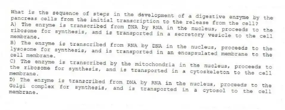 What is the sequence of steps in the development of a digestive enzyme by the pancreas cells from the initial transcription to the release from the cell?
A) The enzyme is transcribed from DNA by RNA in the nucleus, proceeds to the ribosome for synthesis, and is transported in a secretory vesicle to the cell membrane.
B) The enzyme is transcribed from RNA by DNA in the nucleus, proceeds to the lysosome for synthesis, and is transported in an encapsulated membrane to the cell membrane.
C) The enzyme is transcribed by the mitochondria in the nucleus, proceeds to the ribosome for synthesis, and is transported in a cytoskeleton to the cell membrane.
D) The enzyme is transcribed from DNA by RNA in the nucleus, proceeds to the Golgi complex for synthesis, and is transported in a cytosol to the cell membrane.
