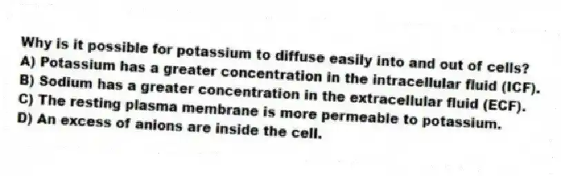 Why is it possible for potassium to diffuse easily into and out of cells?
A) Potassium has a greater concentration in the intracellular fluid (ICF).
B) Sodium has a greater concentration in the extracellular fluid (ECF).
C) The resting plasma membrane is more permeable to potassium.
D) An excess of anions are inside the cell.