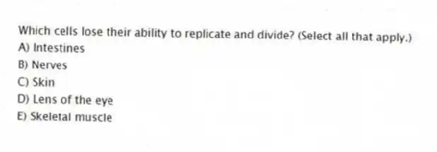 Which cells lose their ability to replicate and divide? (Select all that apply.)
A) Intestines
B) Nerves
C) Skin
D) Lens of the eye
E) Skeletal muscle