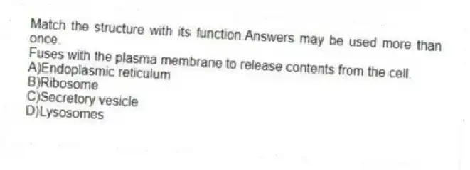 Match the structure with its function.Answers may be used more than once.
-Fuses with the plasma membrane to release contents from the cell.
A)Endoplasmic reticulum
B)Ribosome
C)Secretory vesicle
D)Lysosomes
