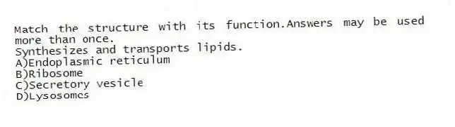 Match the structure with its function.Answers may be used more than once.
-Synthesizes and transports lipids.
A)Endoplasmic reticulum
B)Ribosome
C)Secretory vesicle
D)Lysosomes