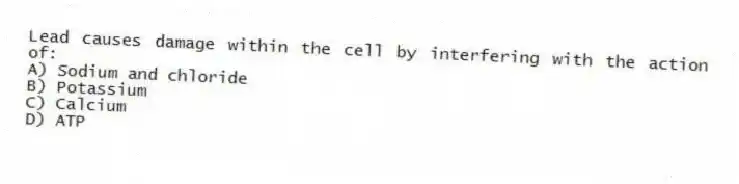 Lead causes damage within the cell by interfering with the action of:
A) Sodium and chloride
B) Potassium
C) Calcium
D) ATP