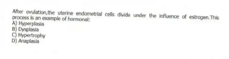 After ovulation,the uterine endometrial cells divide under the influence of estrogen.This process is an example of hormonal:
A) Hyperplasia
B) Dysplasia
C) Hypertrophy
D) Anaplasia