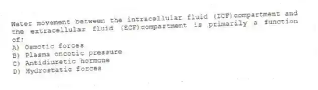 Water movement between the intracellular fluid (ICF)compartment and the extracellular fluid (ECF)compartment is primarily a function of:
A) Osmotic forces
B) Plasma oncotic pressure
C) Antidiuretic hormone
D) Hydrostatic forces