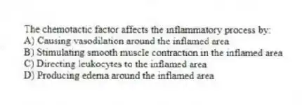 The chemotactic factor affects the inflammatory process by:
A) Causing vasodilation around the inflamed area
B) Stimulating smooth muscle contraction in the inflamed area
C) Directing leukocytes to the inflamed area
D) Producing edema around the inflamed area