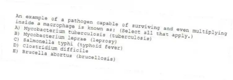 An example of a pathogen capable of surviving and even multiplying inside a macrophage is known as: (Select all that apply.)
A) Mycobacterium tuberculosis (tuberculosis)
B) Mycobacterium leprae (leprosy)
C) Salmonella typhi (typhoid fever)
D) Clostridium difficile
E) Brucella abortus (brucellosis)