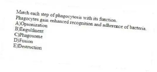 Match each step of phagocytosis with its function.
-Phagocytes gain enhanced recognition and adherence of bacteria.
A)Opsonization
B)Engulfment
C)Phagosome
D)Fusion
E)Destruction
