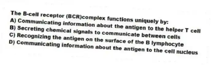 The B-cell receptor (BCR)complex functions uniquely by:
A) Communicating information about the antigen to the helper T cell
B) Secreting chemical signals to communicate between cells
C) Recognizing the antigen on the surface of the B lymphocyte
D) Communicating information about the antigen to the cell nucleus