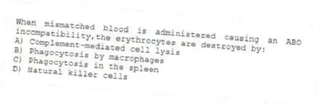 When mismatched blood is administered causing an ABO incompatibility,the erythrocytes are destroyed by:
A) Complement-mediated cell lysis
B) Phagocytosis by macrophages
C) Phagocytosis in the spleen
D) Natural killer cells