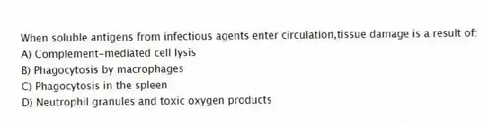 When soluble antigens from infectious agents enter circulation,tissue damage is a result of:
A) Complement-mediated cell lysis
B) Phagocytosis by macrophages
C) Phagocytosis in the spleen
D) Neutrophil granules and toxic oxygen products